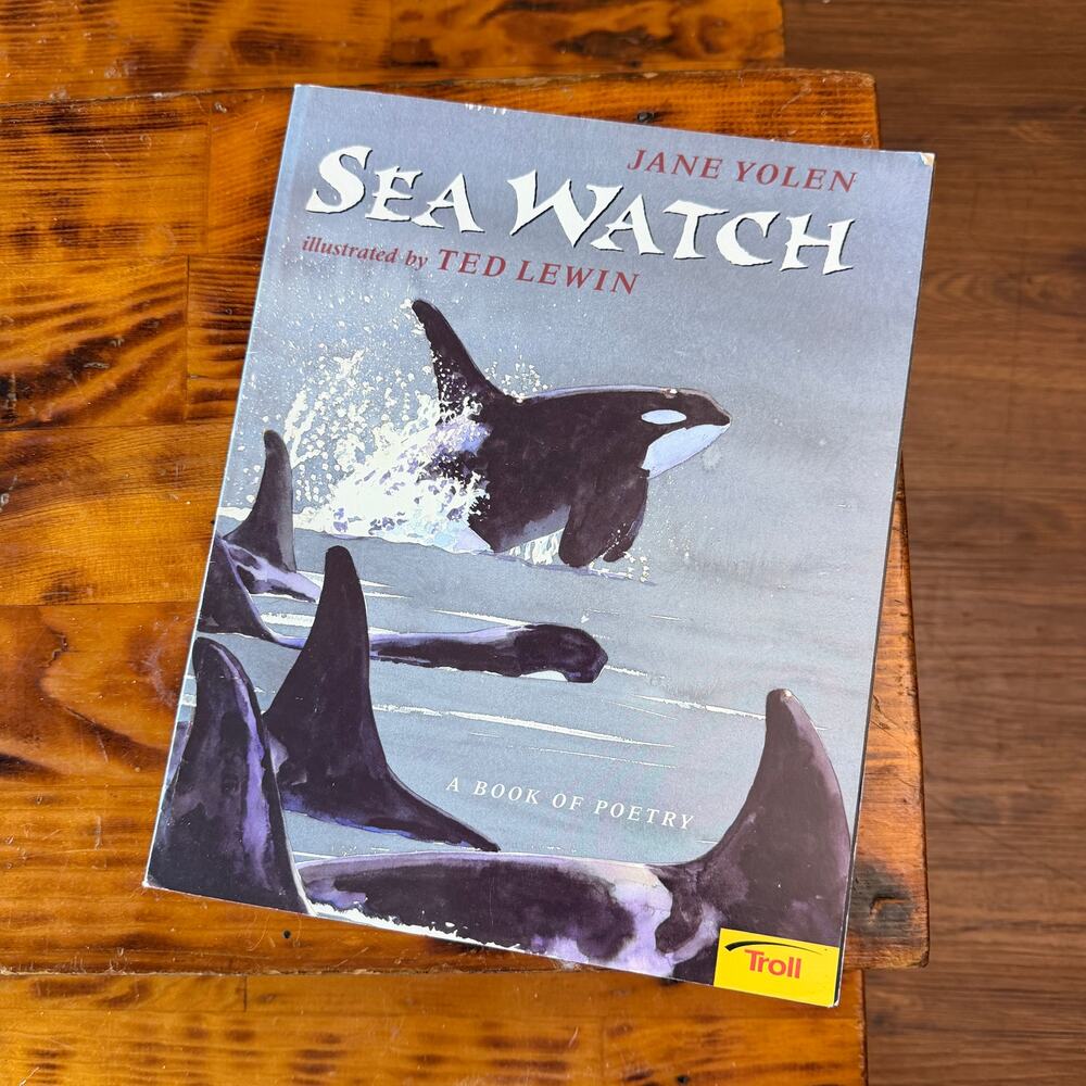 Vintage 1996 Sea Watch Troll Paperback Book